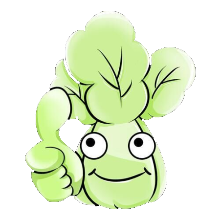 小白菜美化-曙光の博客